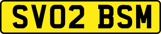 SV02BSM