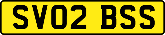 SV02BSS