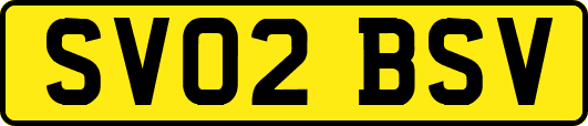 SV02BSV