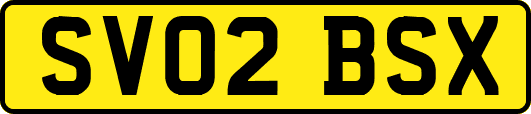 SV02BSX