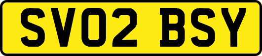 SV02BSY