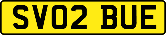 SV02BUE