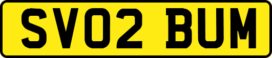 SV02BUM