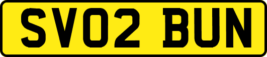 SV02BUN
