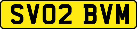 SV02BVM