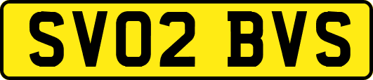 SV02BVS