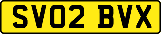 SV02BVX