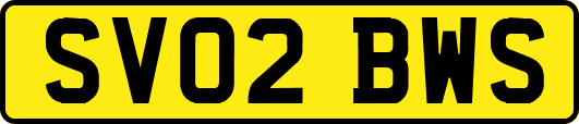 SV02BWS