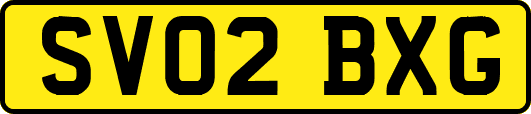 SV02BXG
