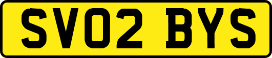 SV02BYS