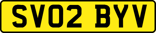 SV02BYV