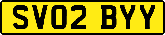 SV02BYY