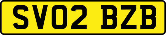 SV02BZB