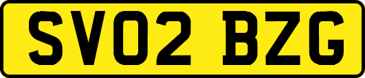 SV02BZG