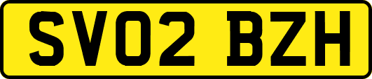 SV02BZH