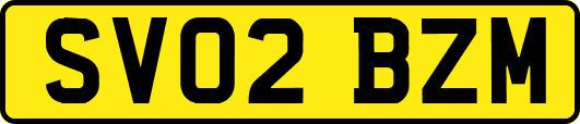 SV02BZM