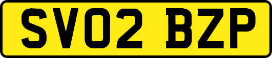SV02BZP