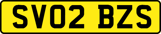 SV02BZS