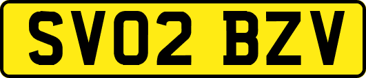 SV02BZV