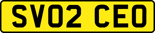 SV02CEO