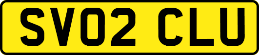 SV02CLU