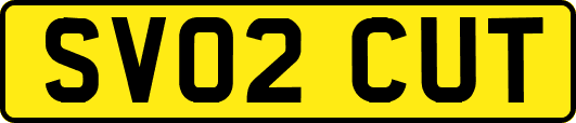 SV02CUT