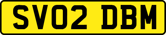 SV02DBM