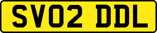 SV02DDL