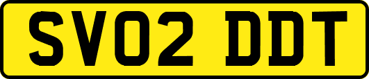 SV02DDT