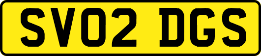 SV02DGS