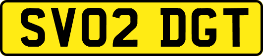 SV02DGT