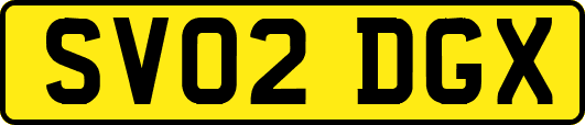SV02DGX