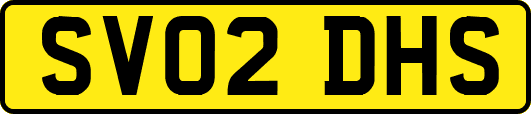SV02DHS