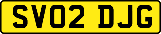 SV02DJG