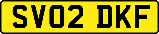 SV02DKF