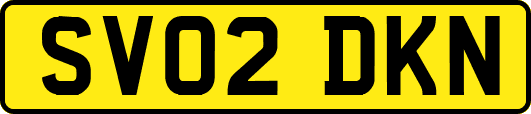 SV02DKN