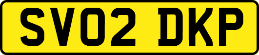 SV02DKP