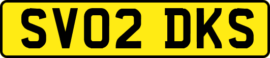 SV02DKS
