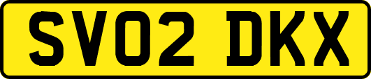 SV02DKX