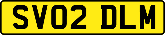 SV02DLM
