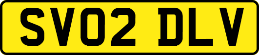 SV02DLV