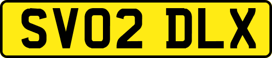 SV02DLX