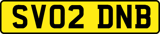 SV02DNB