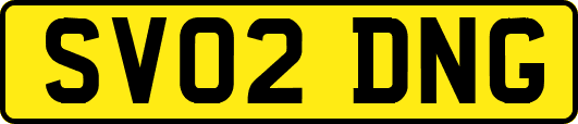 SV02DNG