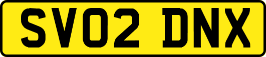 SV02DNX