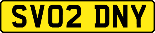 SV02DNY