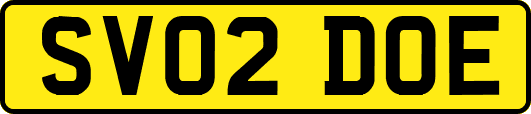 SV02DOE