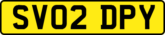 SV02DPY