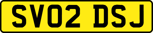 SV02DSJ