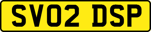SV02DSP